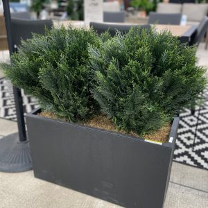 Cedar Bush Planter (Artificial)