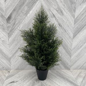 Our Featured Products