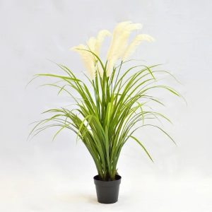 Pampas Grass Plant Cream (Artificial)