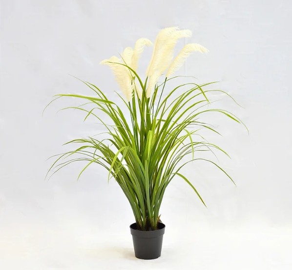 Pampas Grass Plant Cream (Artificial)