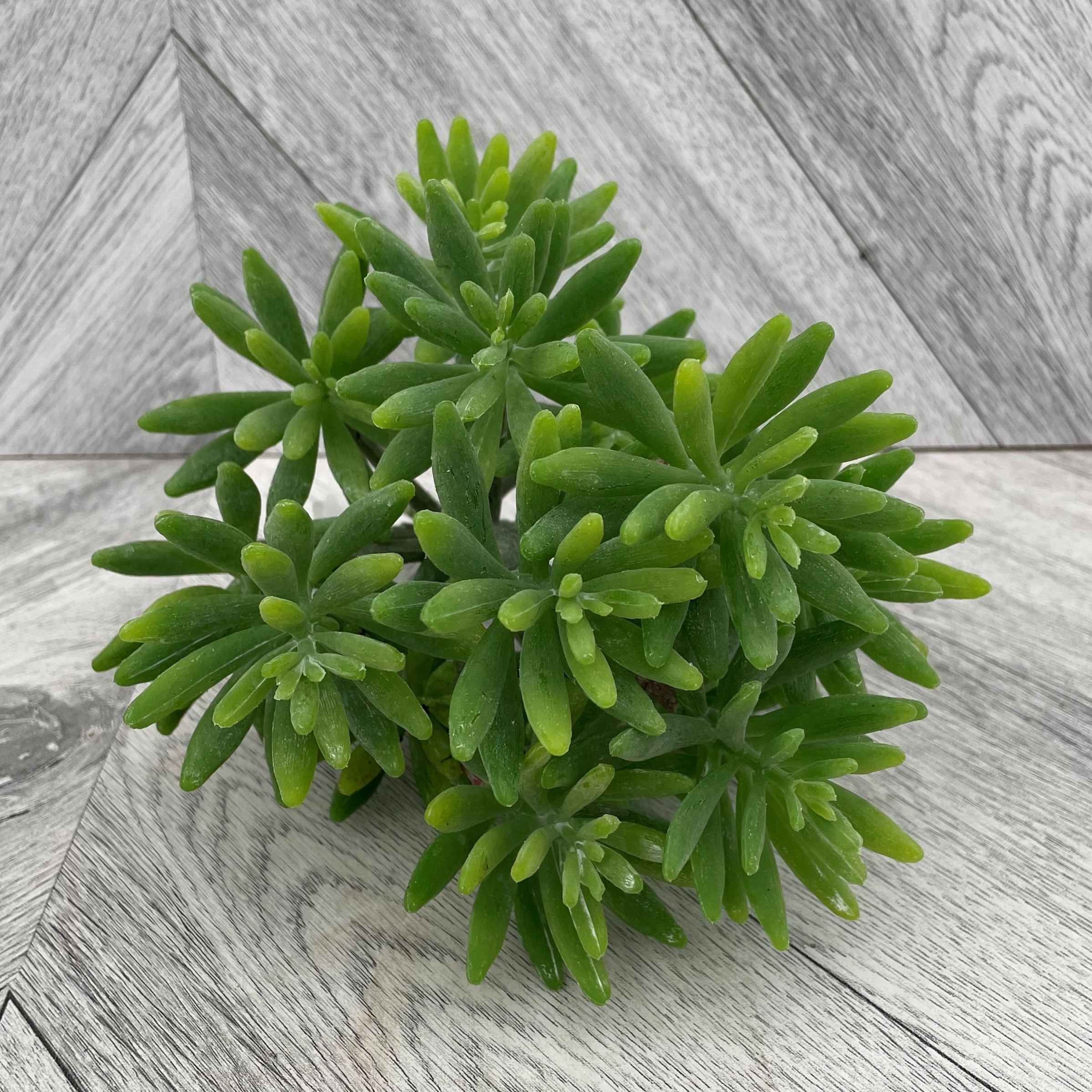 Sedum Stem (Artificial)