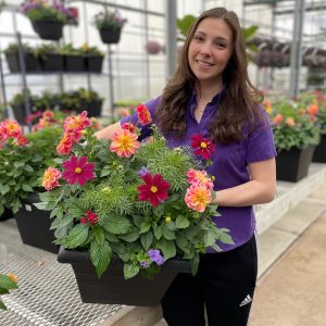 15" Patio Planter - Growers Choice - Sun Mix