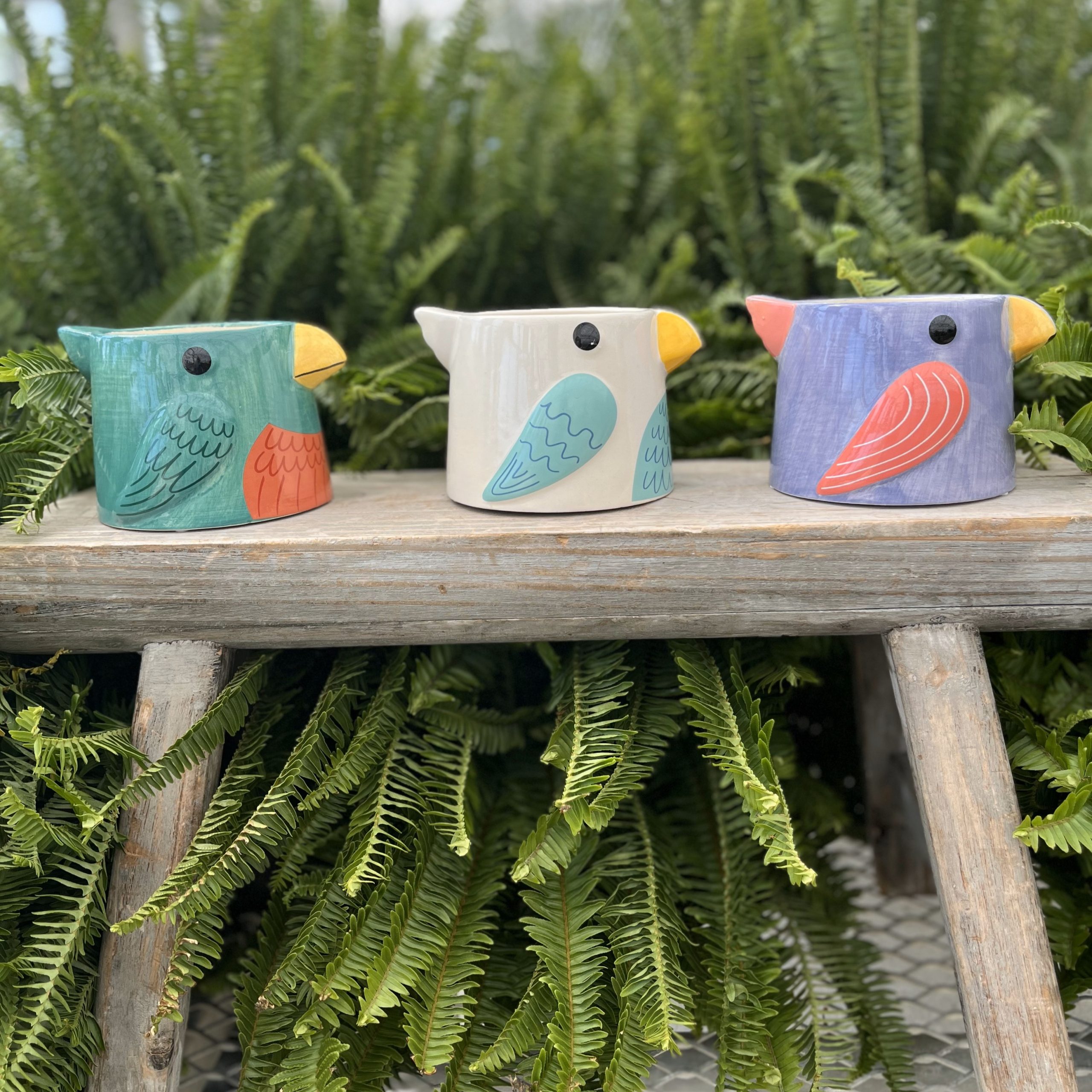 Bird Pot - Multiple Sizes and Colours Available