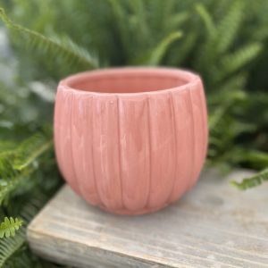Carna Pot 5.9" - Many Colours Available