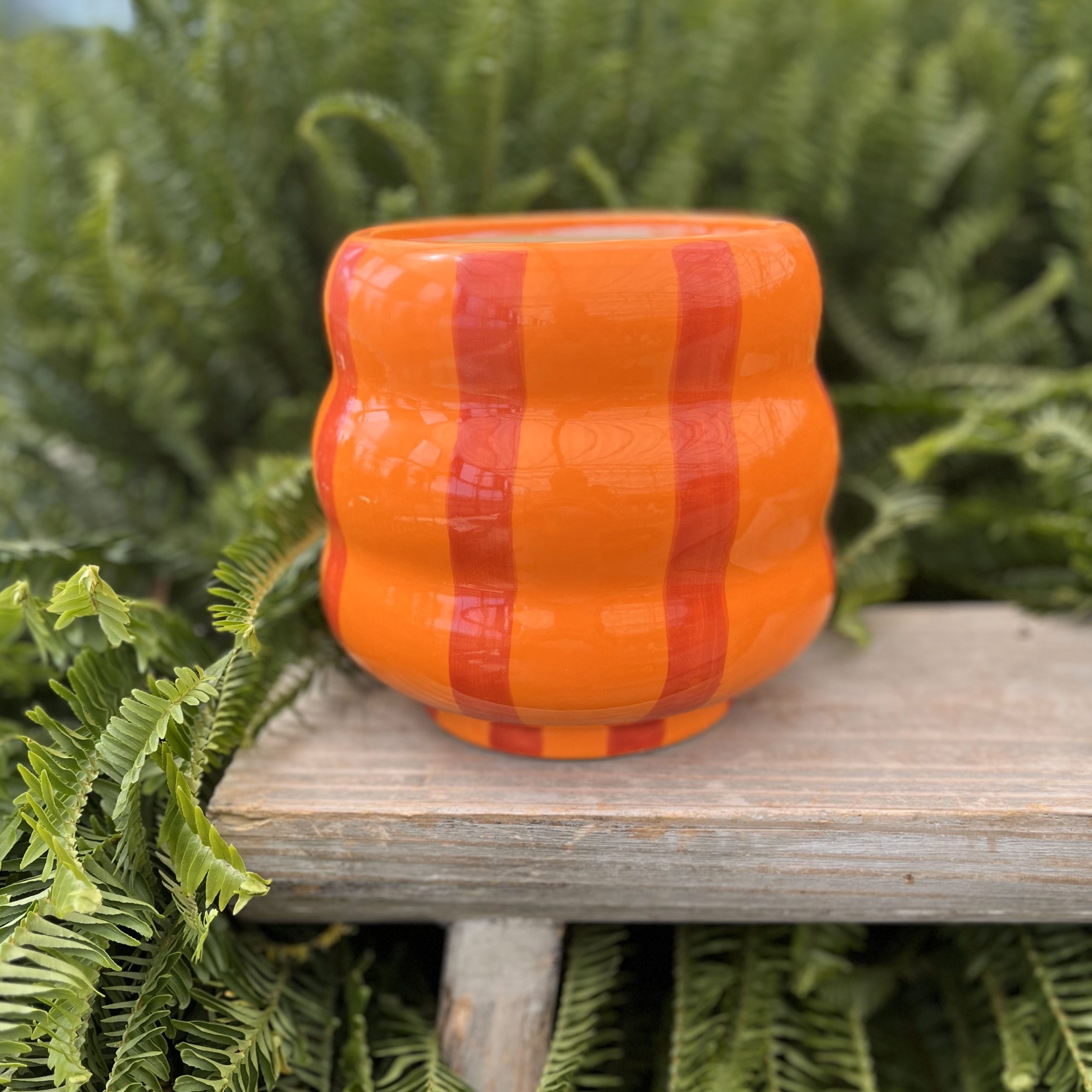 Polly Orange Pot 7.5"