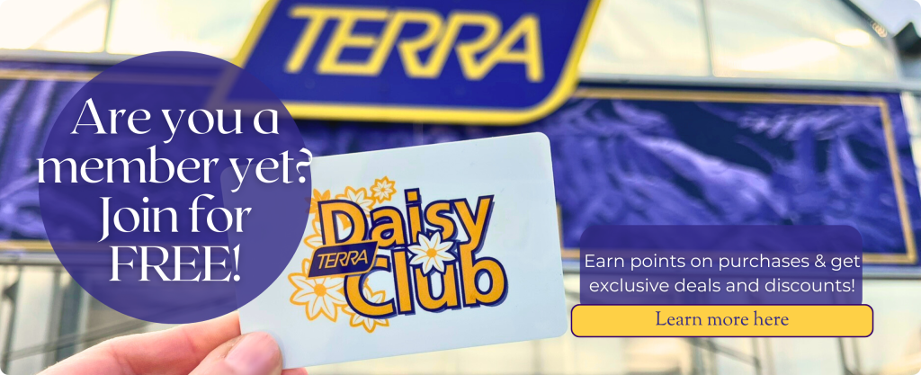 A TERRA Daisy Club card is held in front of a TERRA Greenhouses store location. Text: Are you a member yet? Join for FREE!