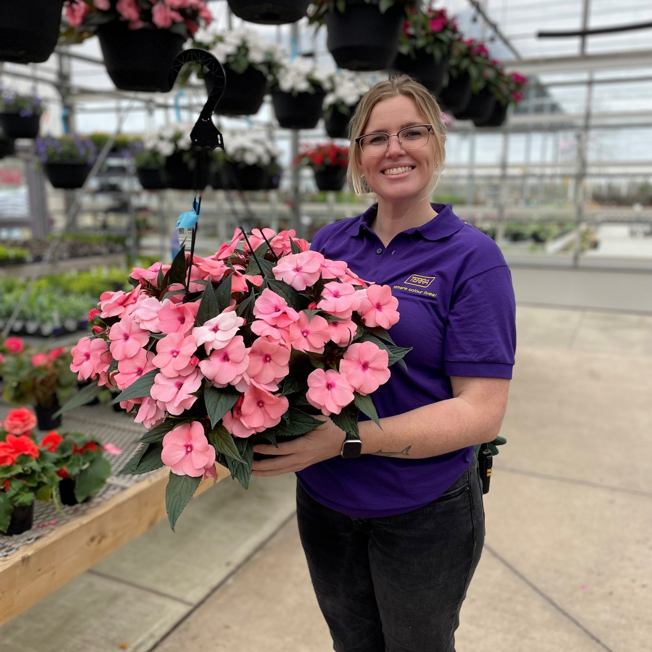 12" Signature - New Guinea Impatiens Hanging Basket