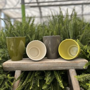 Tusca Shiny Orchid Pot - Many Colours Available
