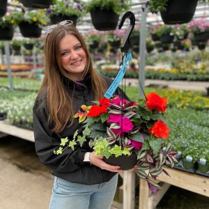 12" Premium Hanging Baskets - Growers Choice - Shade Mix