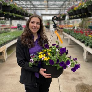12" Premium Hanging Basket - Growers Choice - Sun Mix