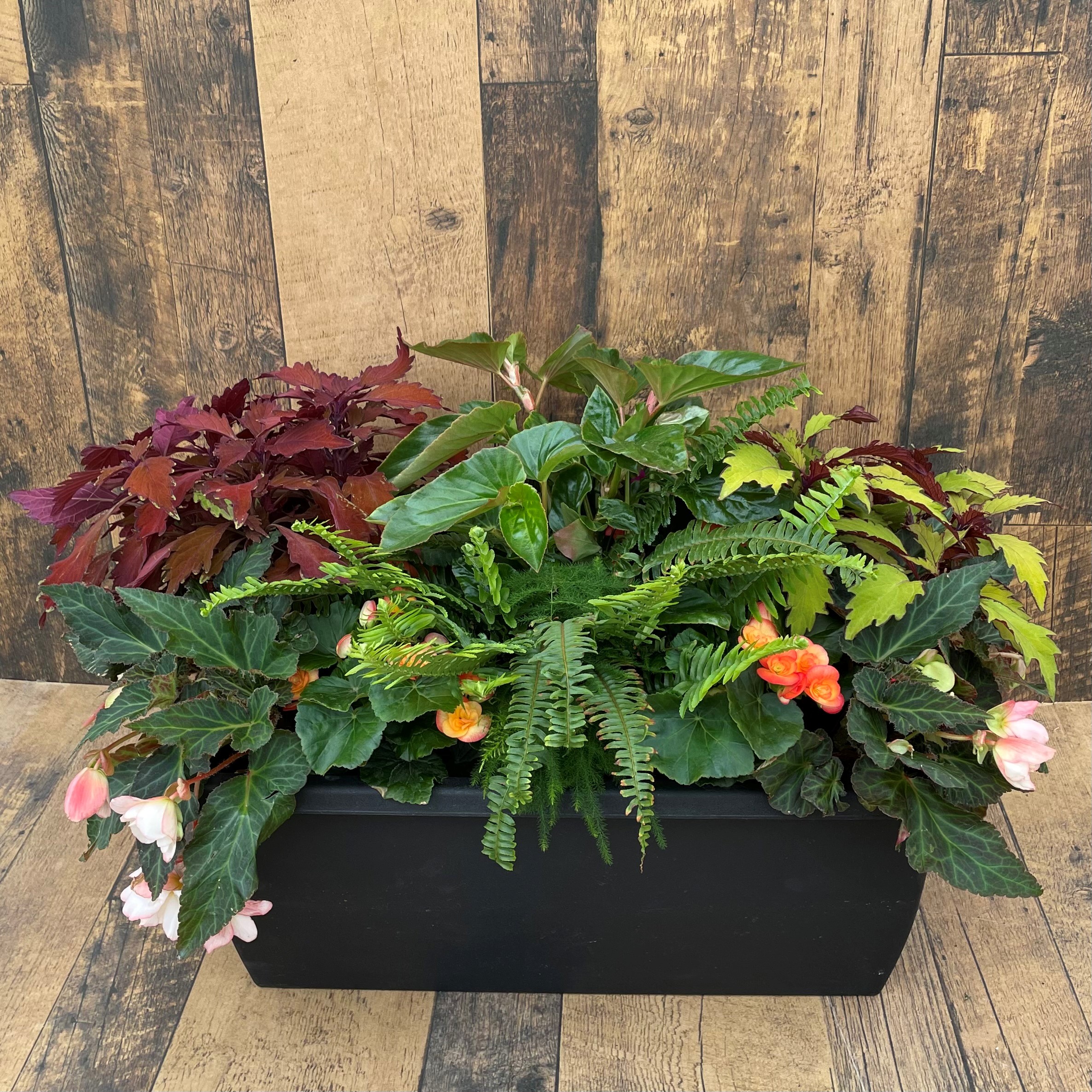 24" Rail Planter - Growers Choice - Shade Mix