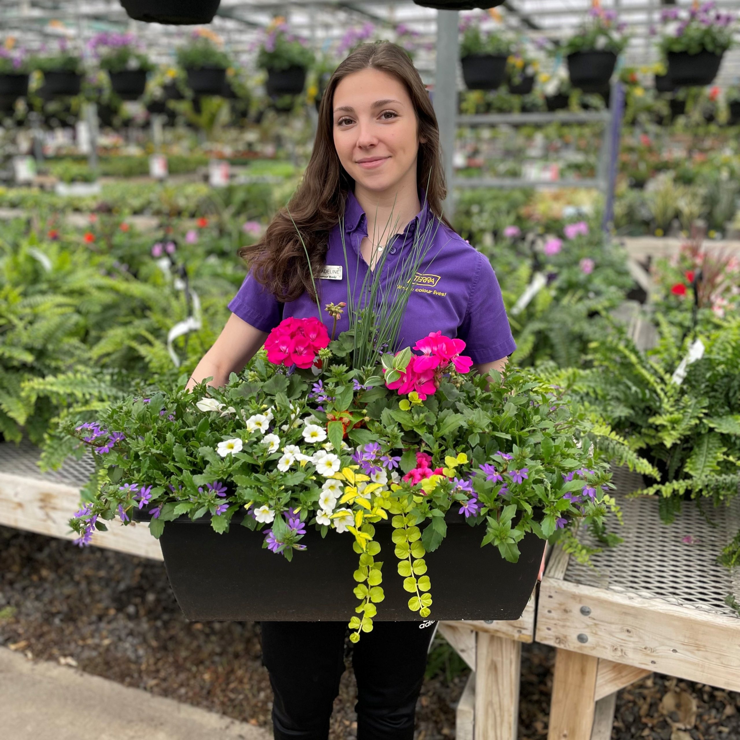 24" Rail Planter - Growers Choice - Sun Mix