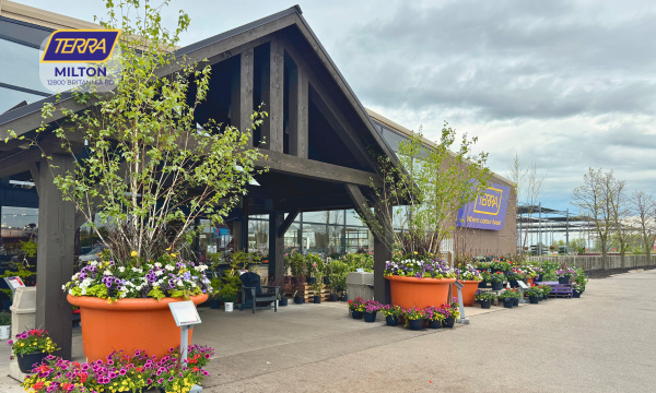 The exterior of TERRA Greenhouses in Milton, Ontario.