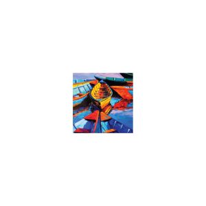 Canoe Cocktail Napkin 20Pk Multi
