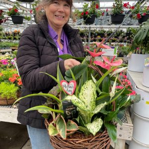 Assorted tropical basket with a pink anthurium and lush greenery with a mothers day plant pick