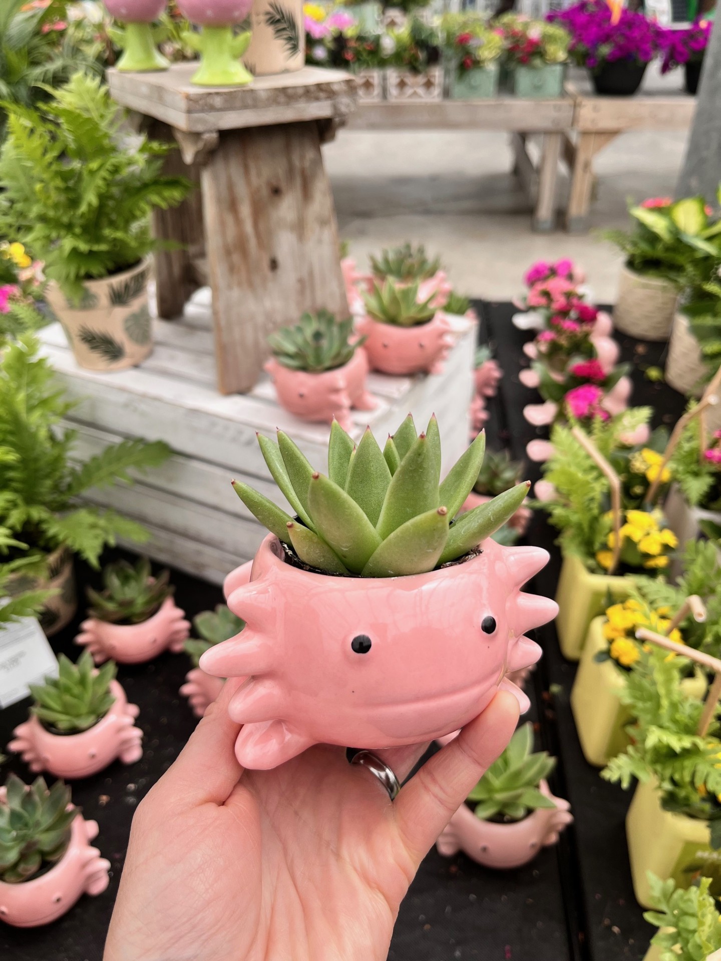 Axolotl Succulent Planter