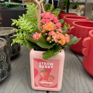 Tropical Juice Box Planter