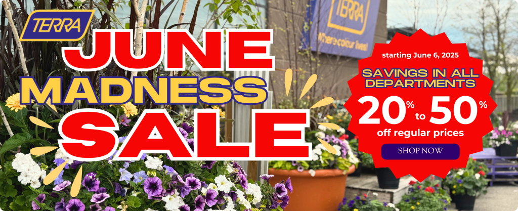 View of a TERRA Greenhouses location with purple flowers. Text: TERRA June Madness Sale Savings in All Departments 20-50% off