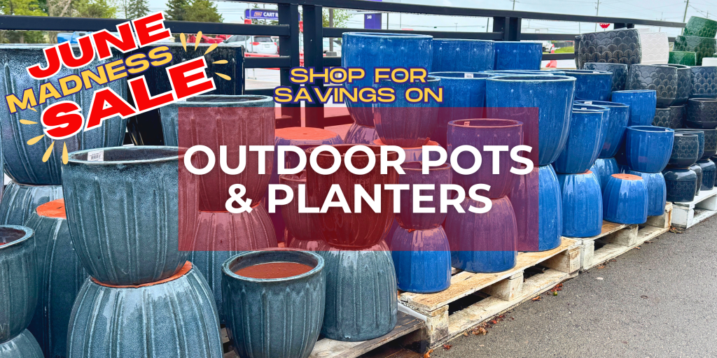 Outdoor pots and planters on sale at TERRA Greenhouses