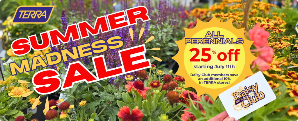 TERRA Summer Madness Sale. 25% off Perennials starting July 11th.